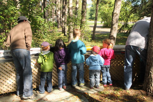 Kids on Grandparents Day